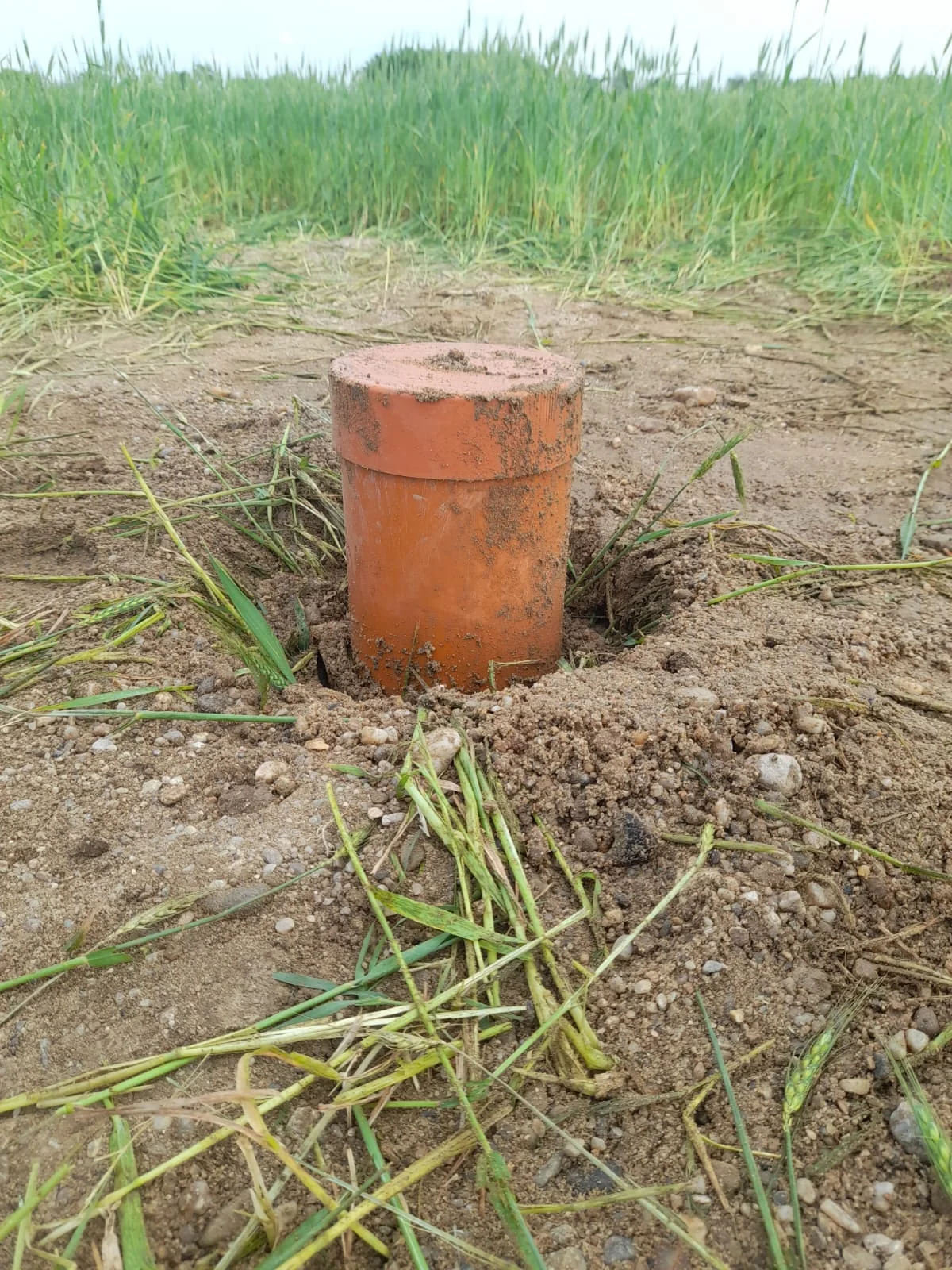 Put forat si pompa submersibila